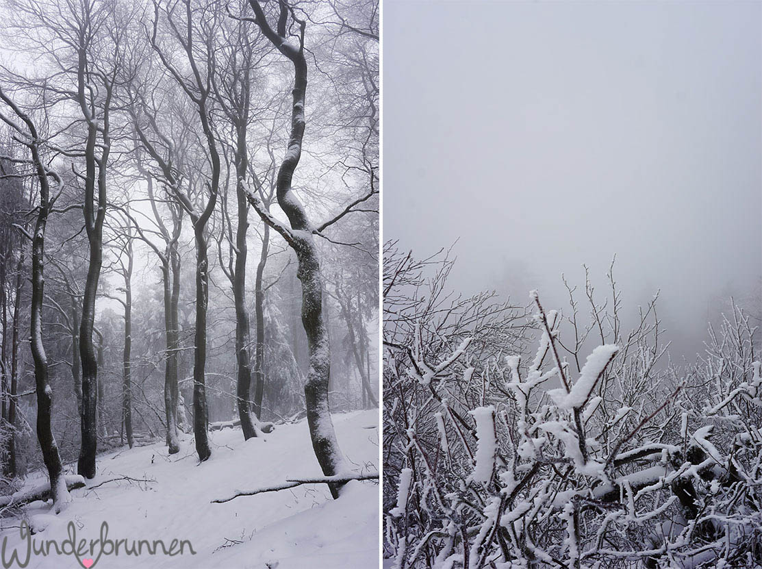 Winter Wonderland - Wunderbrunnen - Foodblog - Fotografie