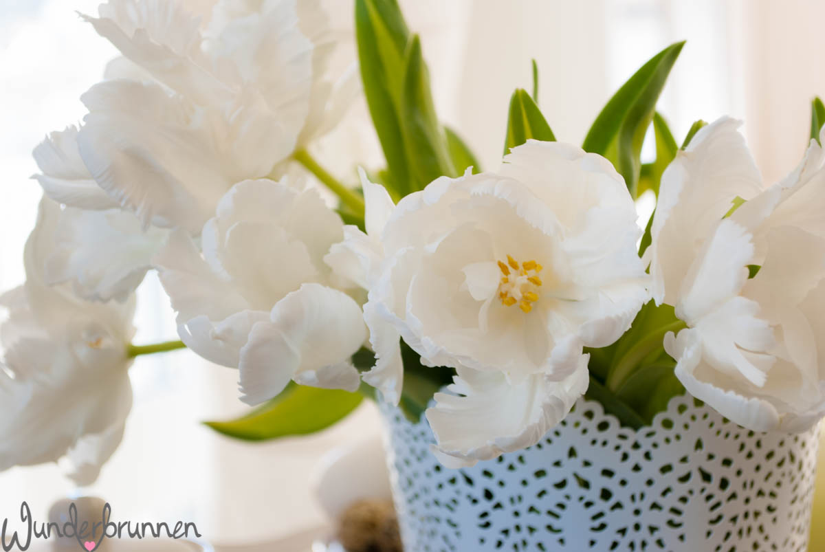Weiße Tulpen - Wunderbrunnen - Foodblog - Fotografie