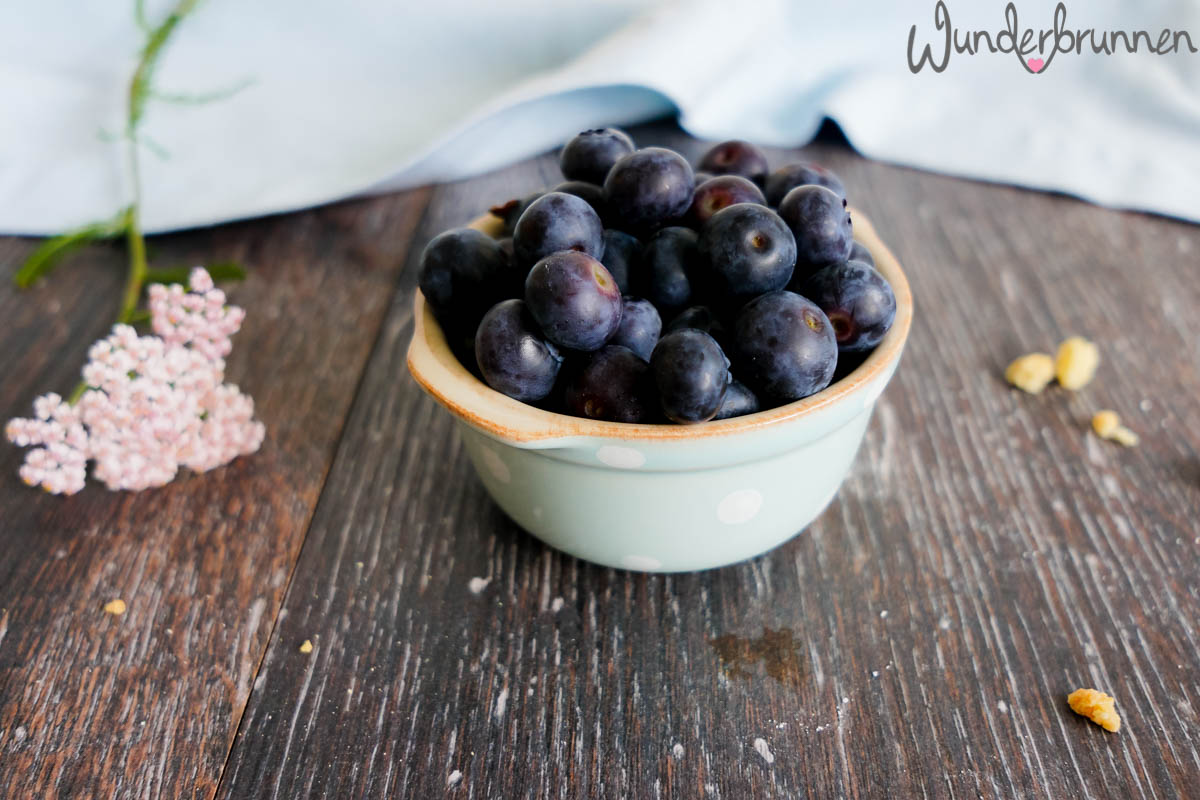 Blaubeeren zum Dessert - Wunderbrunnen - Foodblog - Fotografie