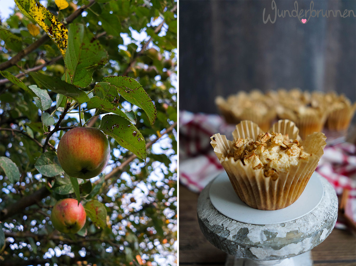 Apfel-Cranberry-Muffins - Wunderbrunnen - Foodblog - Fotografie
