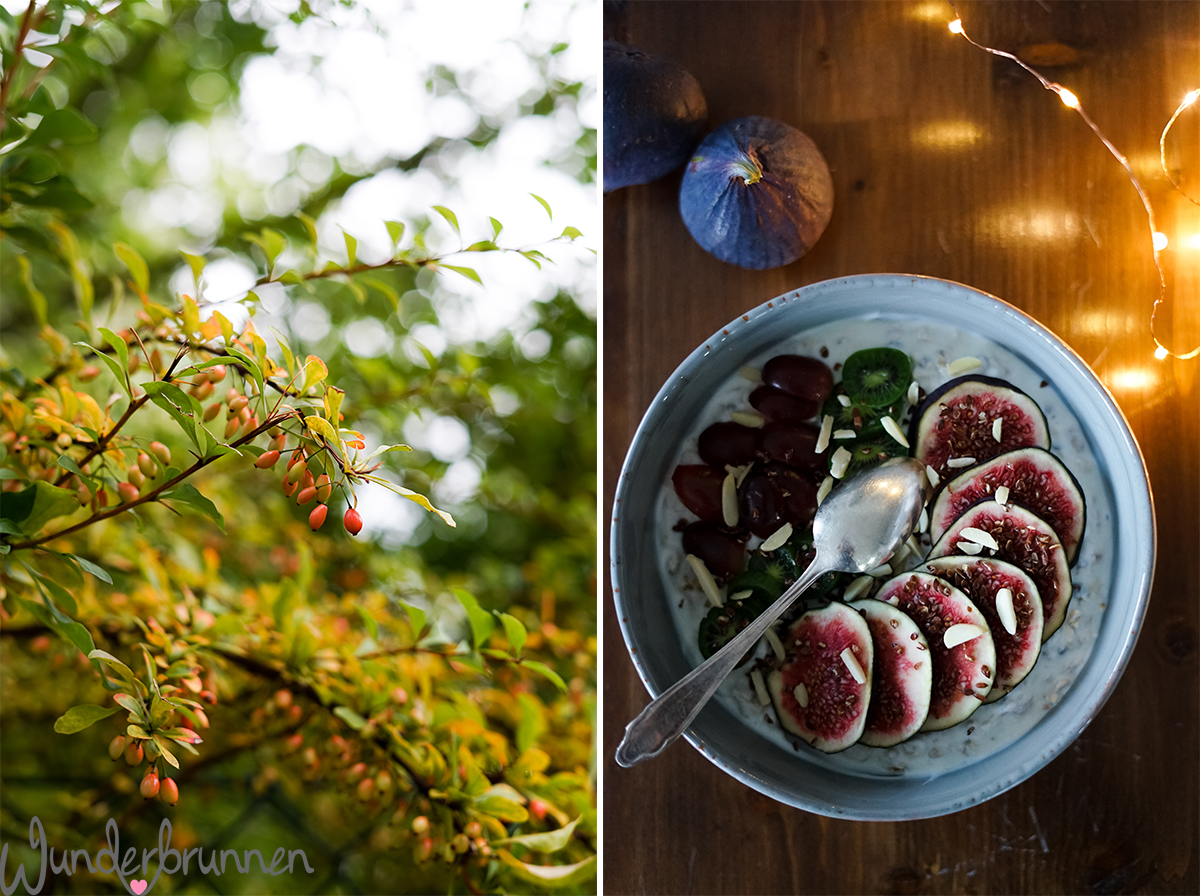 Hallo Oktober! Liebeserklärung an den Herbst - Wunderbrunnen - Foodblog - Fotografie