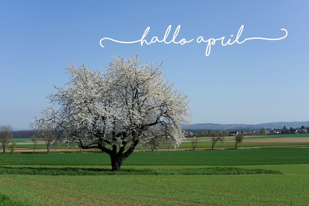 Hallo April! Vorfreude auf den Frühling - Wunderbrunnen - Foodblog - Fotografie