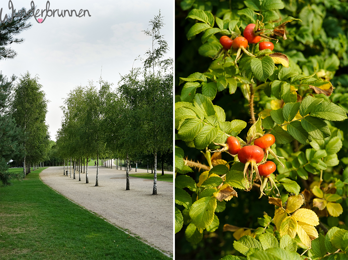 Hallo August! + Blumenliebe im Stadtpark Norderstedt - Wunderbrunnen - Foodblog - Fotografie